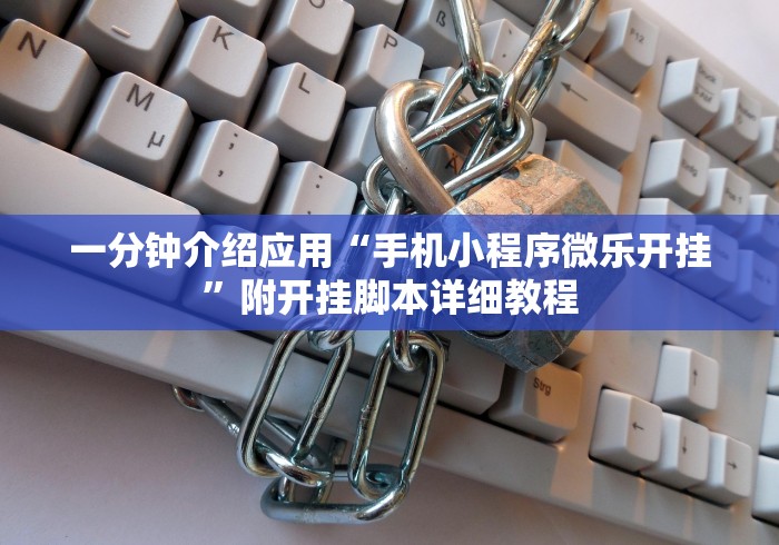 一分钟介绍应用“手机小程序微乐开挂”附开挂脚本详细教程