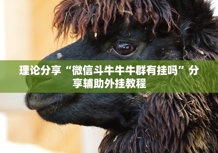 理论分享“微信斗牛牛牛群有挂吗”分享辅助外挂教程
