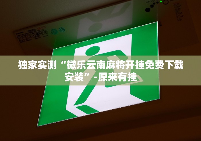 独家实测“微乐云南麻将开挂免费下载安装	”-原来有挂