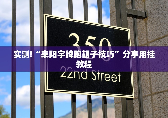 实测!“耒阳字牌跑胡子技巧”分享用挂教程