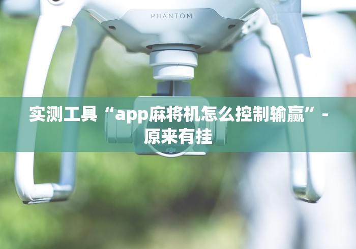 实测工具“app麻将机怎么控制输赢”-原来有挂