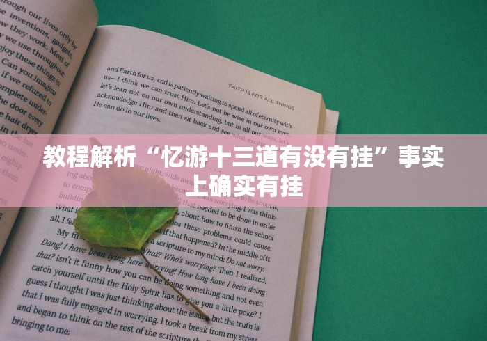 教程解析“忆游十三道有没有挂”事实上确实有挂