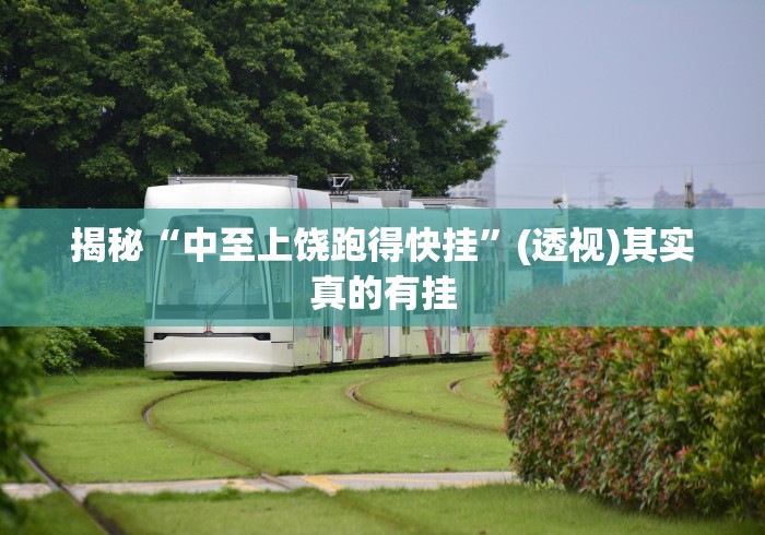 揭秘“中至上饶跑得快挂	”(透视)其实真的有挂