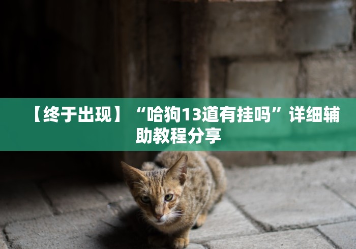 【终于出现】“哈狗13道有挂吗	”详细辅助教程分享