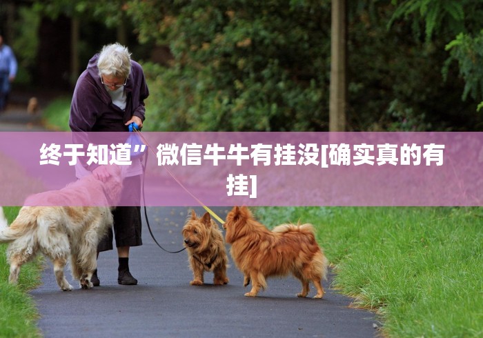 终于知道”微信牛牛有挂没[确实真的有挂]
