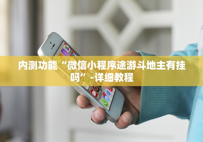 内测功能“微信小程序途游斗地主有挂吗”-详细教程