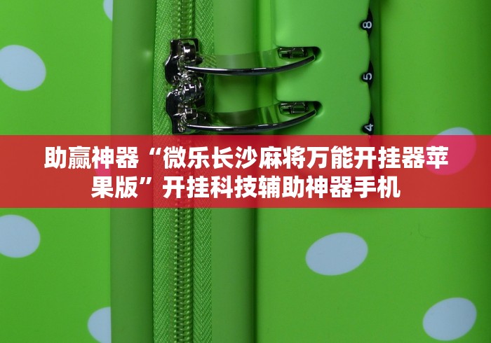 助赢神器“微乐长沙麻将万能开挂器苹果版	”开挂科技辅助神器手机