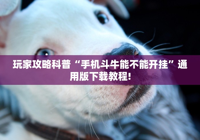 玩家攻略科普“手机斗牛能不能开挂”通用版下载教程!