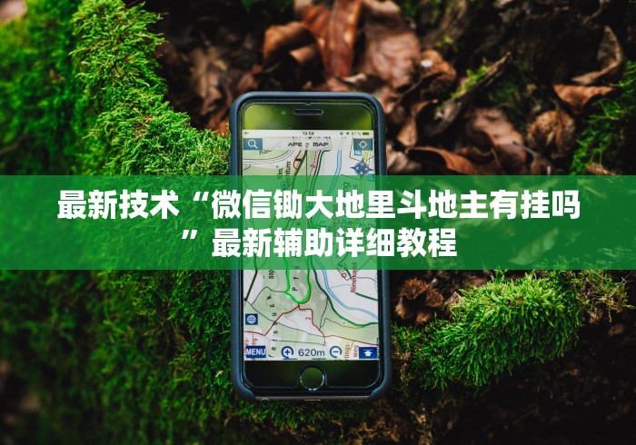 最新技术“微信锄大地里斗地主有挂吗”最新辅助详细教程