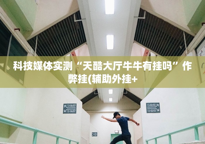 科技媒体实测“天酷大厅牛牛有挂吗”作弊挂(辅助外挂+
