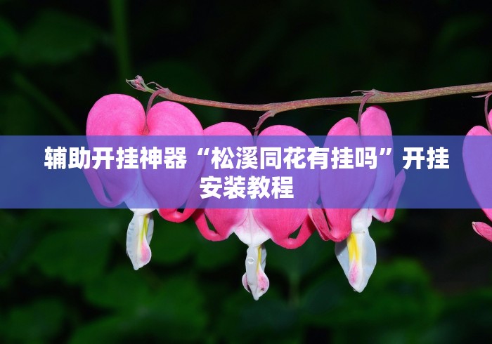辅助开挂神器“松溪同花有挂吗”开挂安装教程
