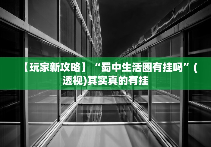 【玩家新攻略】“蜀中生活圈有挂吗”(透视)其实真的有挂