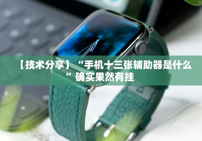 【技术分享】“手机十三张辅助器是什么	”确实果然有挂 
