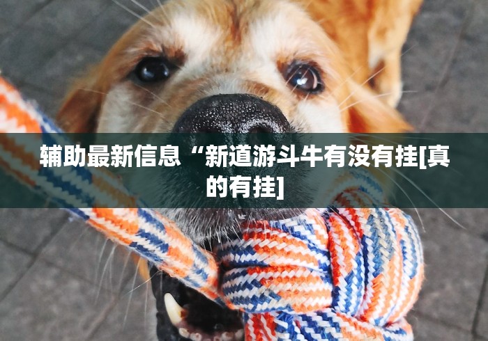 辅助最新信息“新道游斗牛有没有挂[真的有挂]