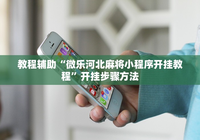 教程辅助“微乐河北麻将小程序开挂教程”开挂步骤方法