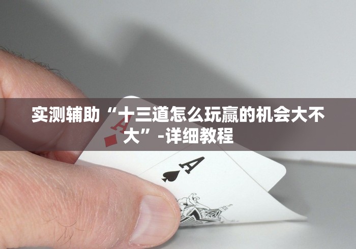 实测辅助“十三道怎么玩赢的机会大不大”-详细教程