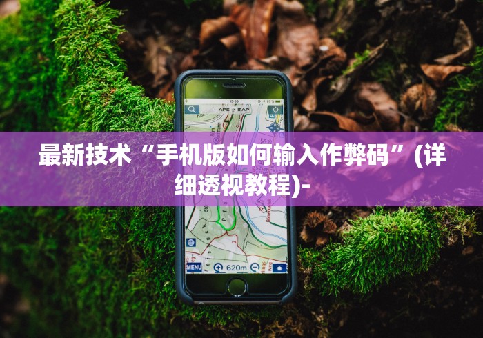 最新技术“手机版如何输入作弊码”(详细透视教程)-
