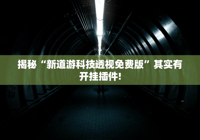 揭秘“新道游科技透视免费版”其实有开挂插件!