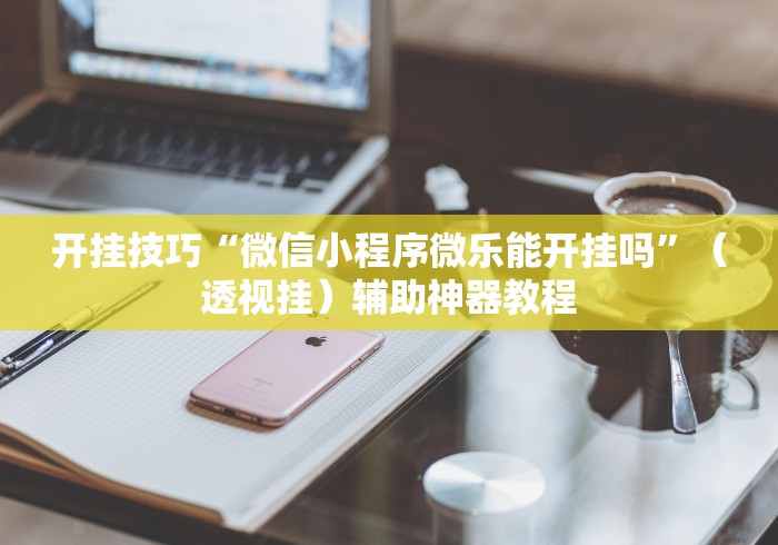 开挂技巧“微信小程序微乐能开挂吗”（透视挂）辅助神器教程