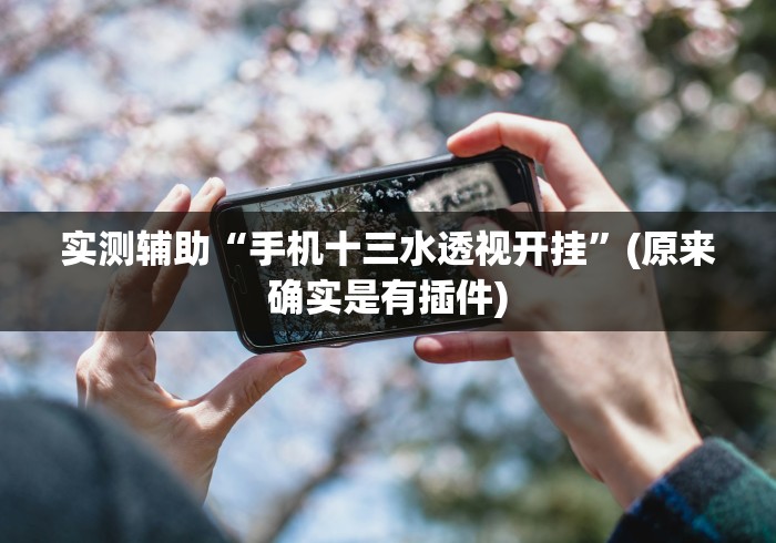 实测辅助“手机十三水透视开挂	”(原来确实是有插件)