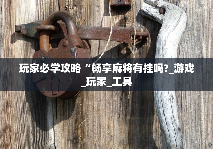 玩家必学攻略“畅享麻将有挂吗?_游戏_玩家_工具