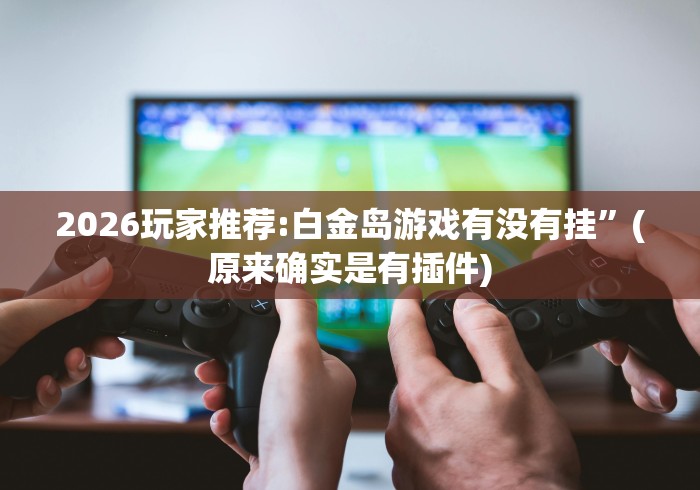 2026玩家推荐:白金岛游戏有没有挂”(原来确实是有插件)