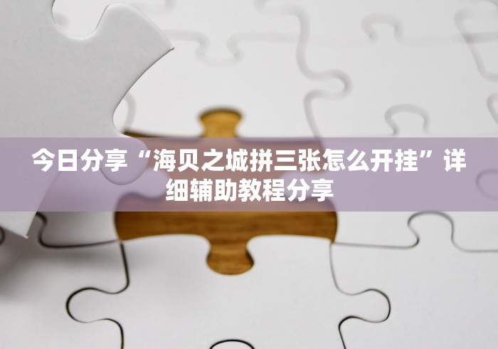 今日分享“海贝之城拼三张怎么开挂”详细辅助教程分享