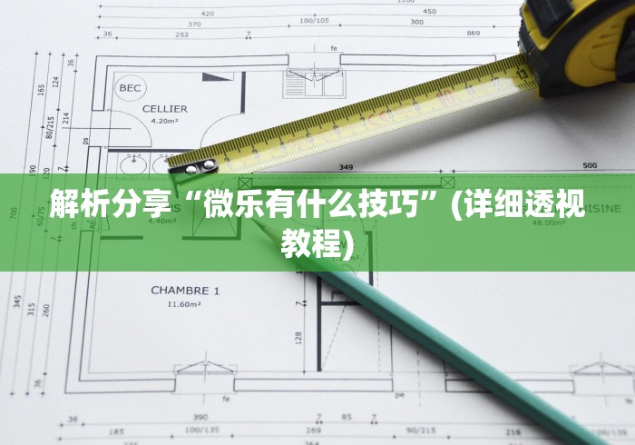 解析分享“微乐有什么技巧”(详细透视教程)