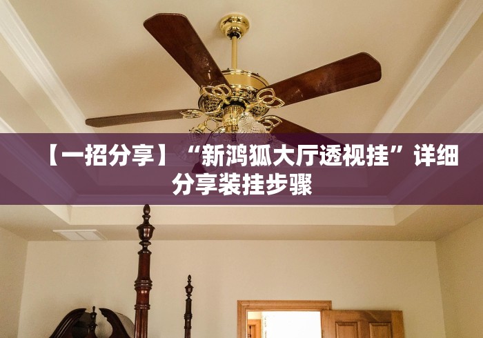 【一招分享】“新鸿狐大厅透视挂”详细分享装挂步骤