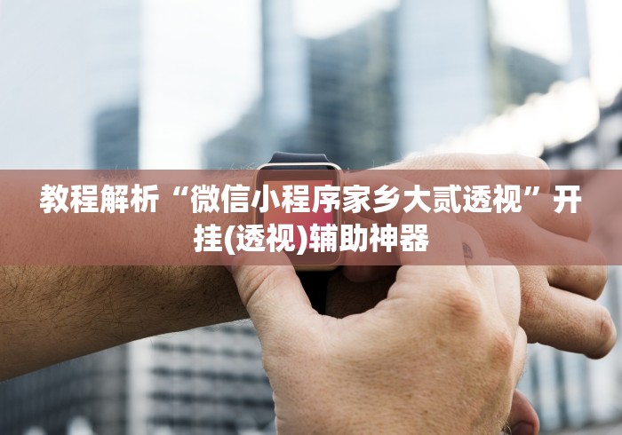 教程解析“微信小程序家乡大贰透视”开挂(透视)辅助神器