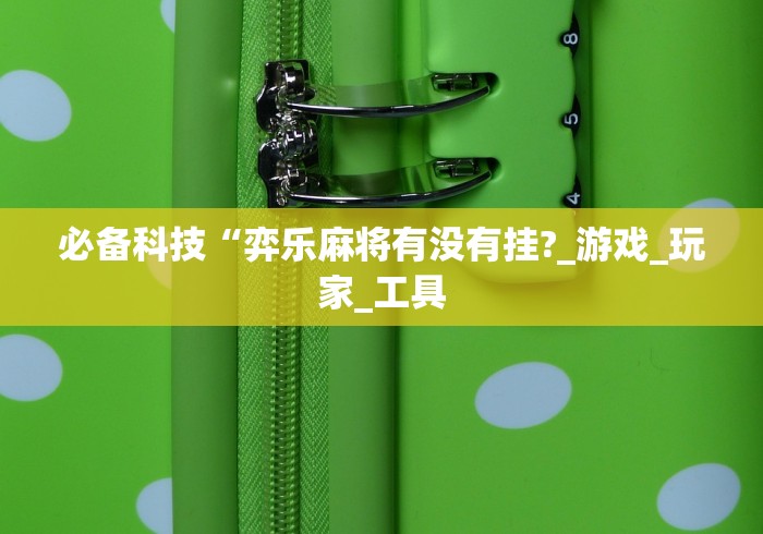 必备科技“弈乐麻将有没有挂?_游戏_玩家_工具