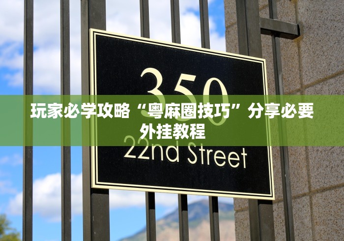 玩家必学攻略“粤麻圈技巧	”分享必要外挂教程