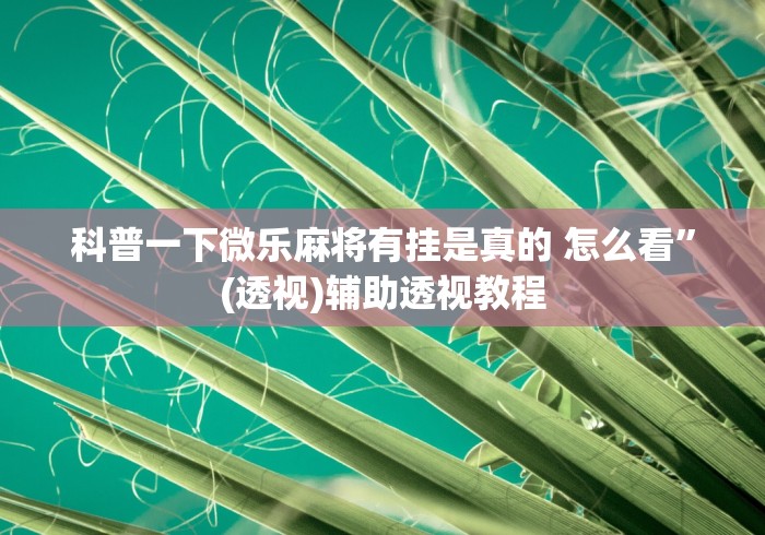 科普一下微乐麻将有挂是真的 怎么看”(透视)辅助透视教程