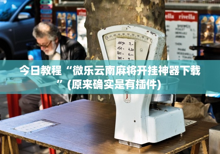 今日教程“微乐云南麻将开挂神器下载	”(原来确实是有插件) 