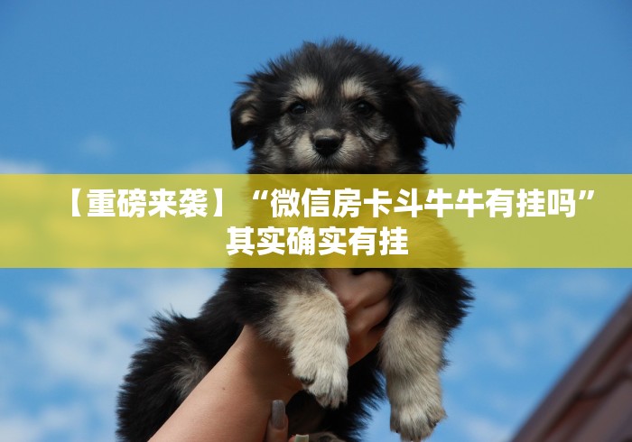 【重磅来袭】“微信房卡斗牛牛有挂吗”其实确实有挂