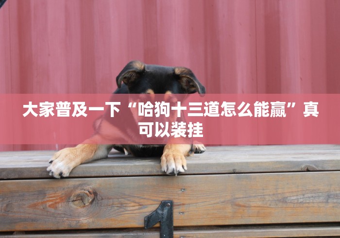 大家普及一下“哈狗十三道怎么能赢”真可以装挂