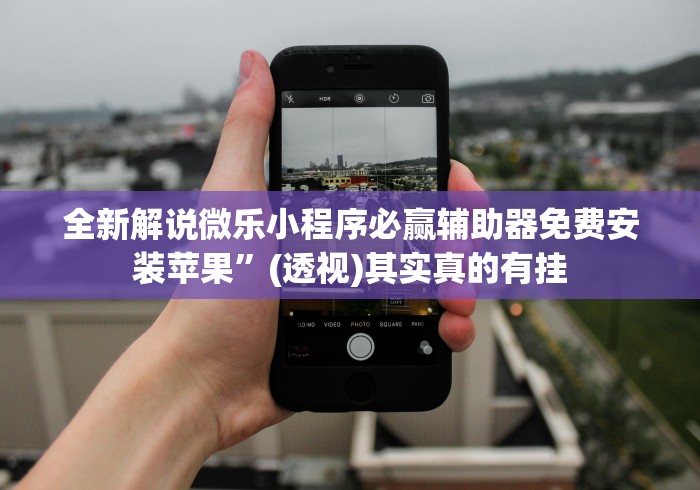 全新解说微乐小程序必赢辅助器免费安装苹果”(透视)其实真的有挂