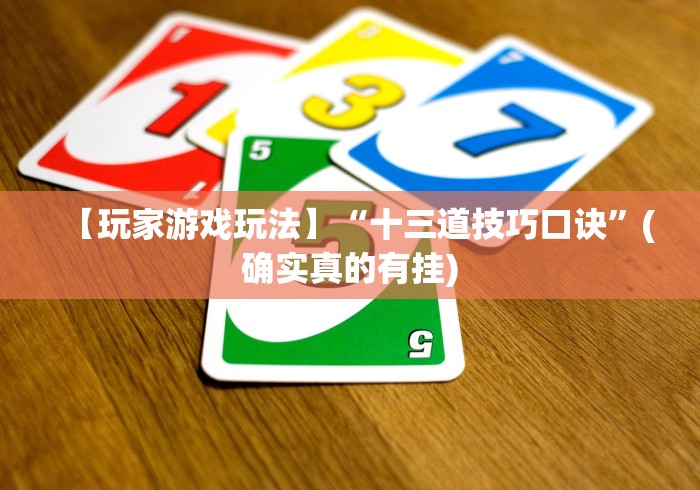【玩家游戏玩法】“十三道技巧口诀”(确实真的有挂)