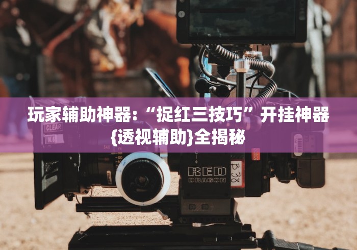玩家辅助神器:“捉红三技巧”开挂神器{透视辅助}全揭秘