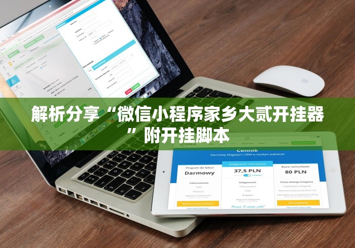 解析分享“微信小程序家乡大贰开挂器”附开挂脚本