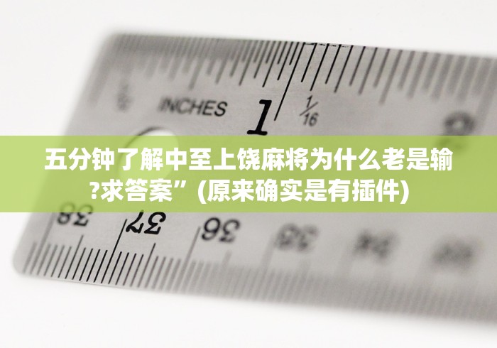 五分钟了解中至上饶麻将为什么老是输?求答案”(原来确实是有插件)