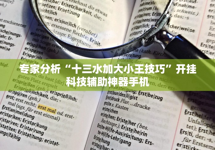 专家分析“十三水加大小王技巧”开挂科技辅助神器手机
