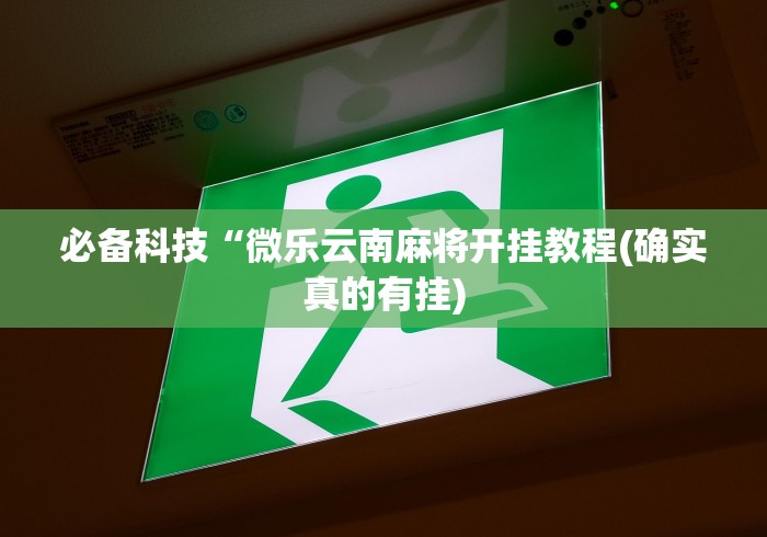 必备科技“微乐云南麻将开挂教程(确实真的有挂)