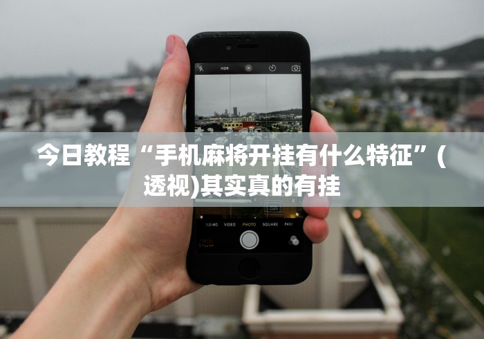 今日教程“手机麻将开挂有什么特征	”(透视)其实真的有挂