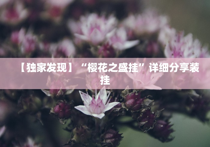 【独家发现】“樱花之盛挂	”详细分享装挂