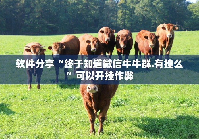 软件分享“终于知道微信牛牛群.有挂么”可以开挂作弊