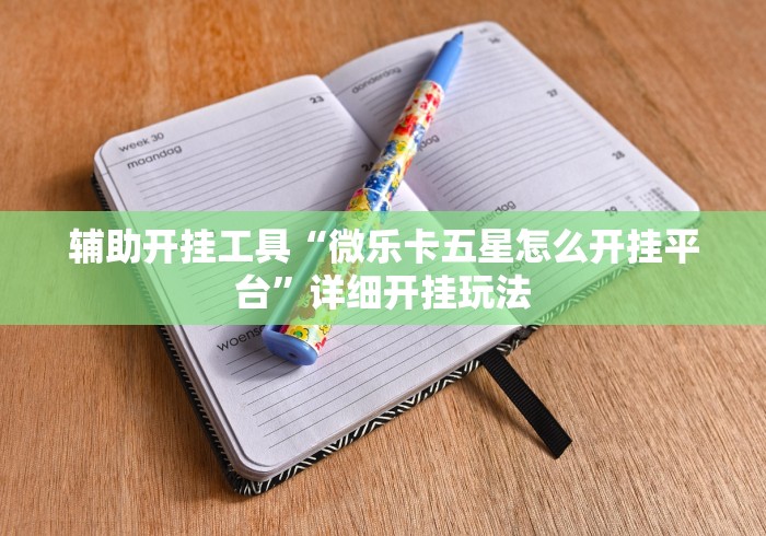 辅助开挂工具“微乐卡五星怎么开挂平台”详细开挂玩法