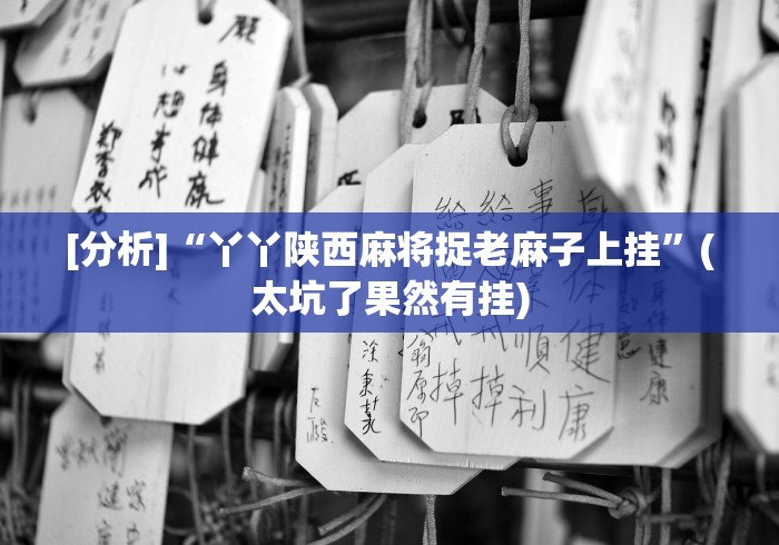 [分析]“丫丫陕西麻将捉老麻子上挂”(太坑了果然有挂)