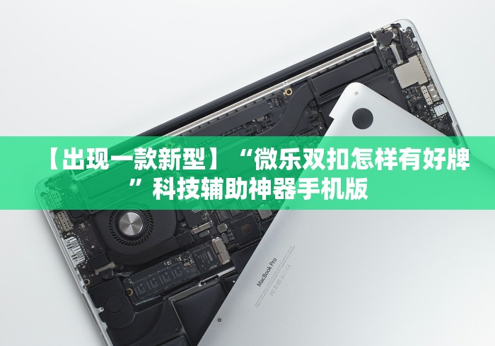【出现一款新型】“微乐双扣怎样有好牌”科技辅助神器手机版