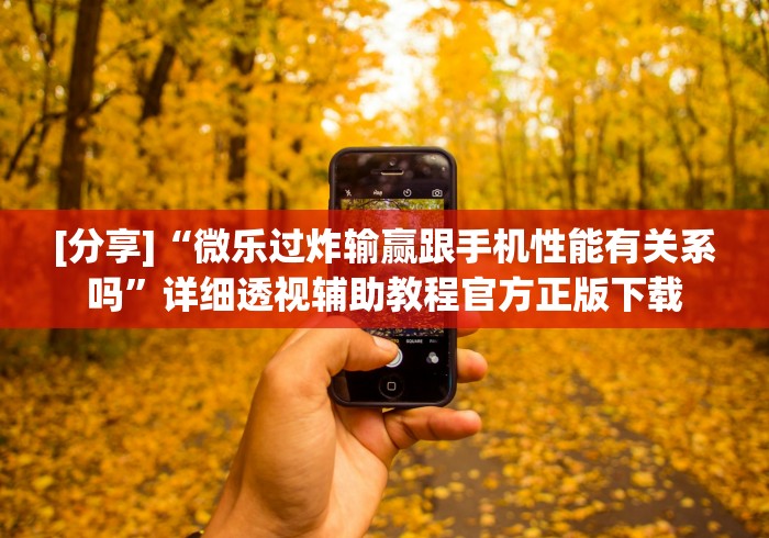 [分享]“微乐过炸输赢跟手机性能有关系吗”详细透视辅助教程官方正版下载